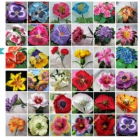 Full Thread Flower Combo