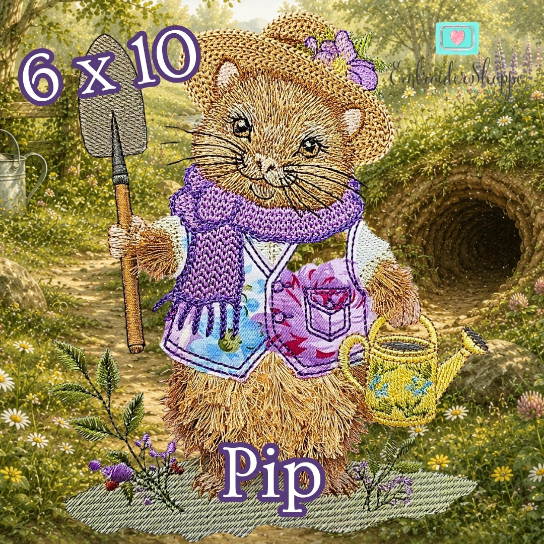 6 x 10 Pip