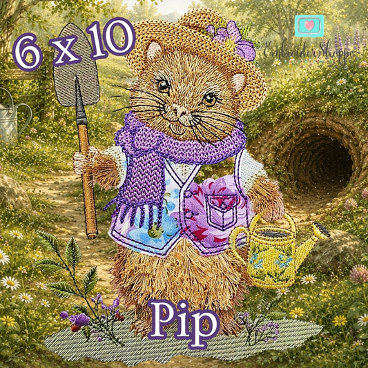 6 x 10 Pip
