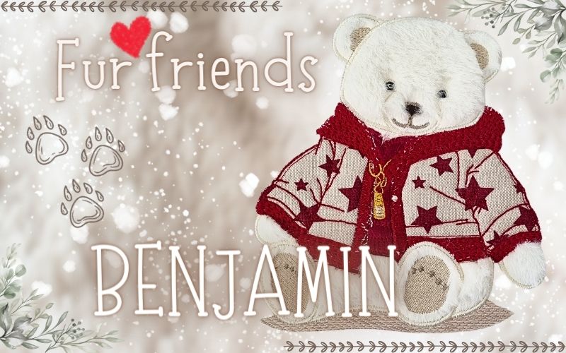 5x7 Benjamin Bear