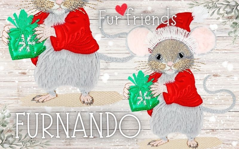 4x6 Furnando