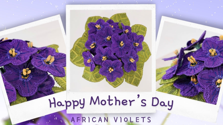 Mothers Day African Violets