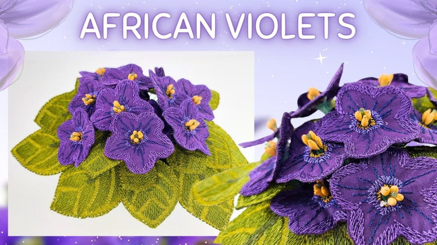 Mothers Day African Violets