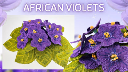 Mothers Day African Violets