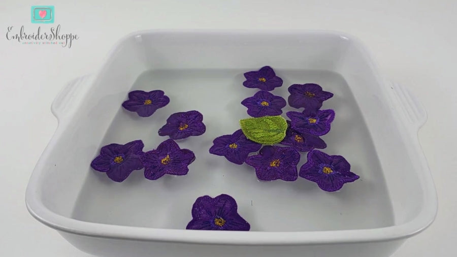 Mothers Day African Violets