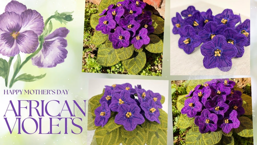 Mothers Day African Violets