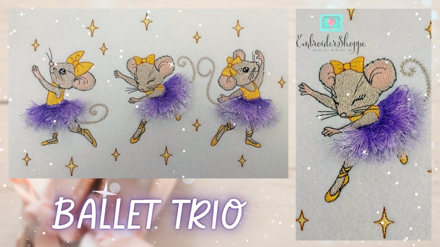 6 x 10 Ballet Trio