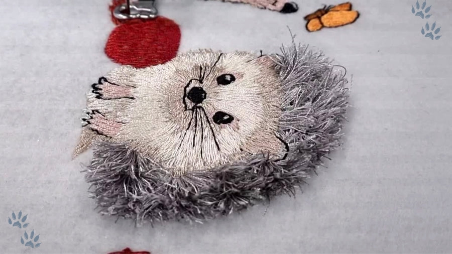4 x 6 The Hedgies