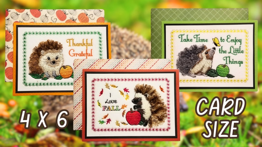 4 x 6 The Hedgies