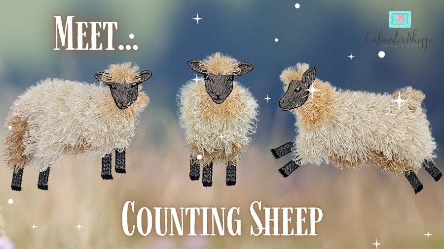 6 x 10 Counting Sheep