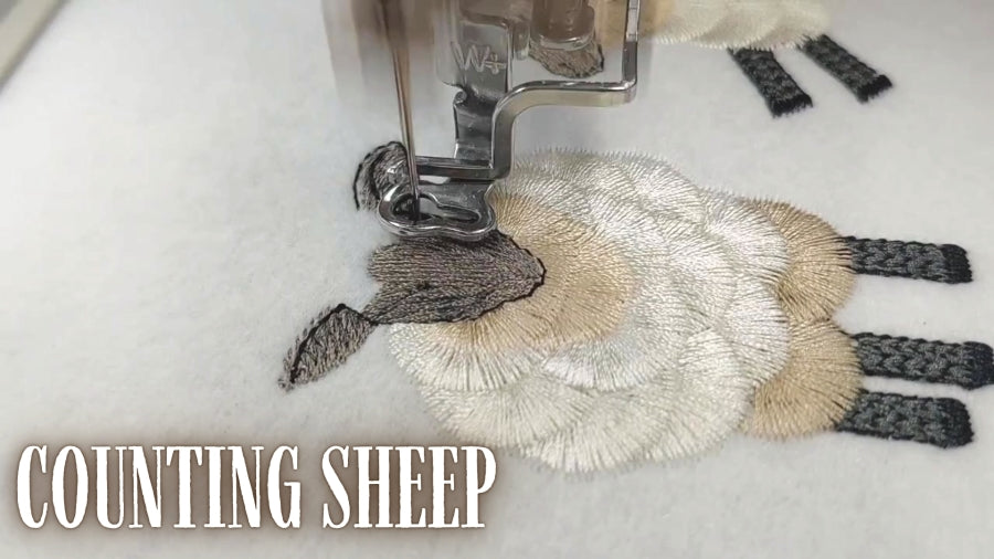 6 x 10 Counting Sheep