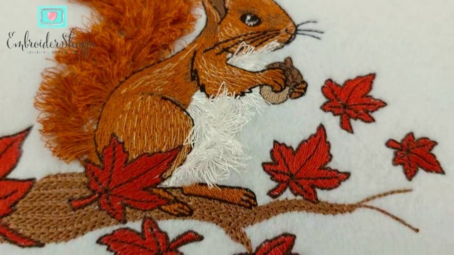 6 x 10 Cyril Squirrel