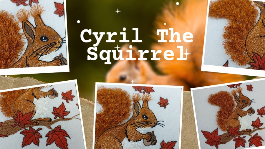 6 x 10 Cyril Squirrel