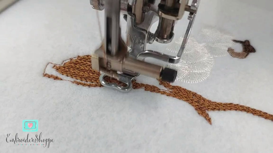 6 x 10 Cyril Squirrel