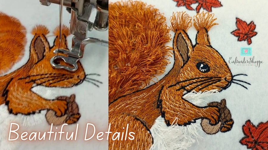 6 x 10 Cyril Squirrel