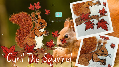 6 x 10 Cyril Squirrel