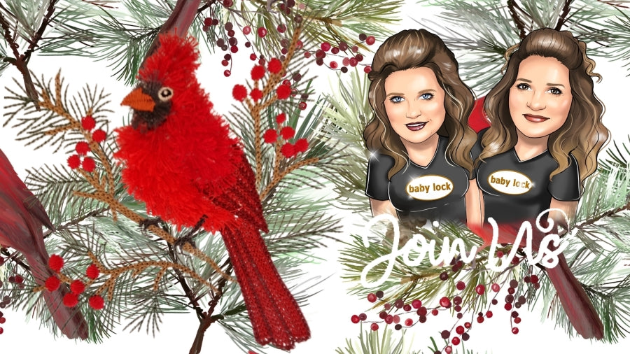 6 x 10 The Cardinal