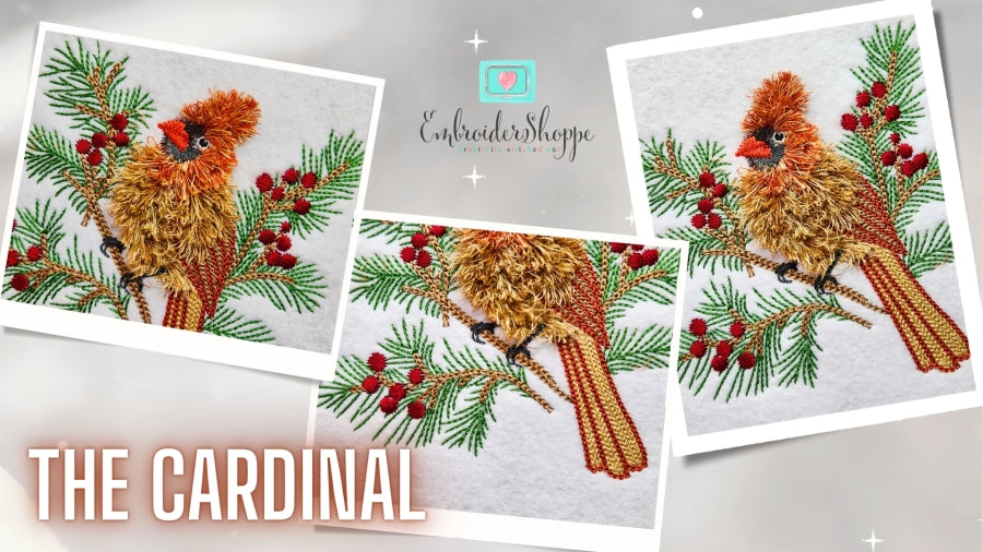5 x 7 The Cardinal