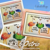 4 x 6 Ostrio
