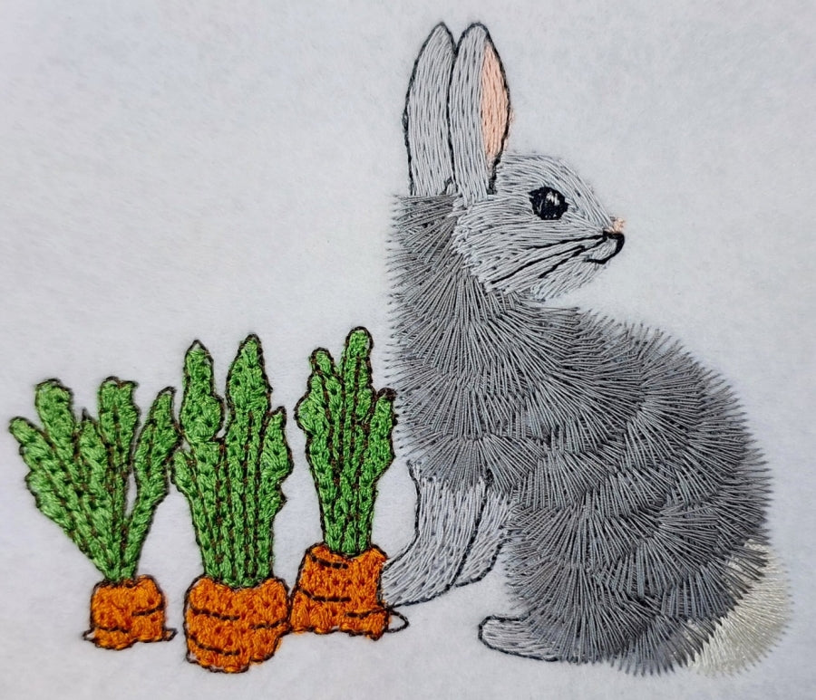 4 x 6 Bunny Fun