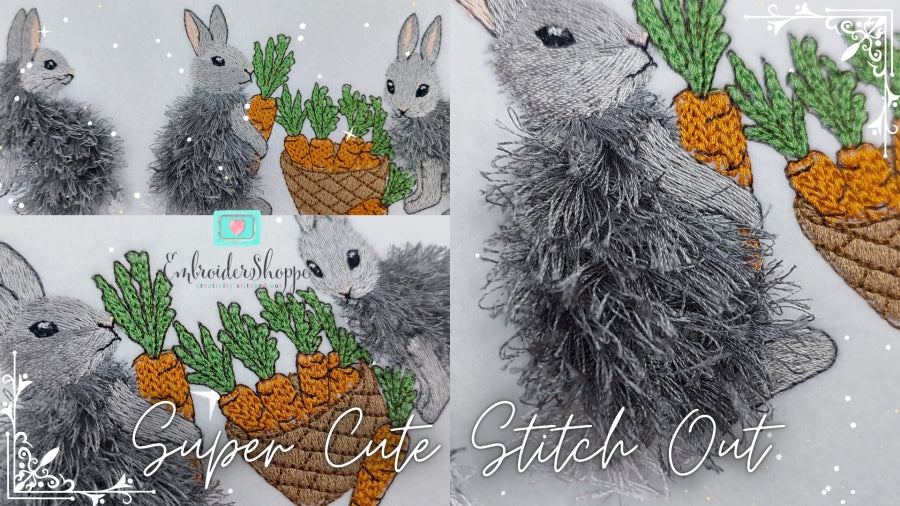 4 x 6 Bunny Fun