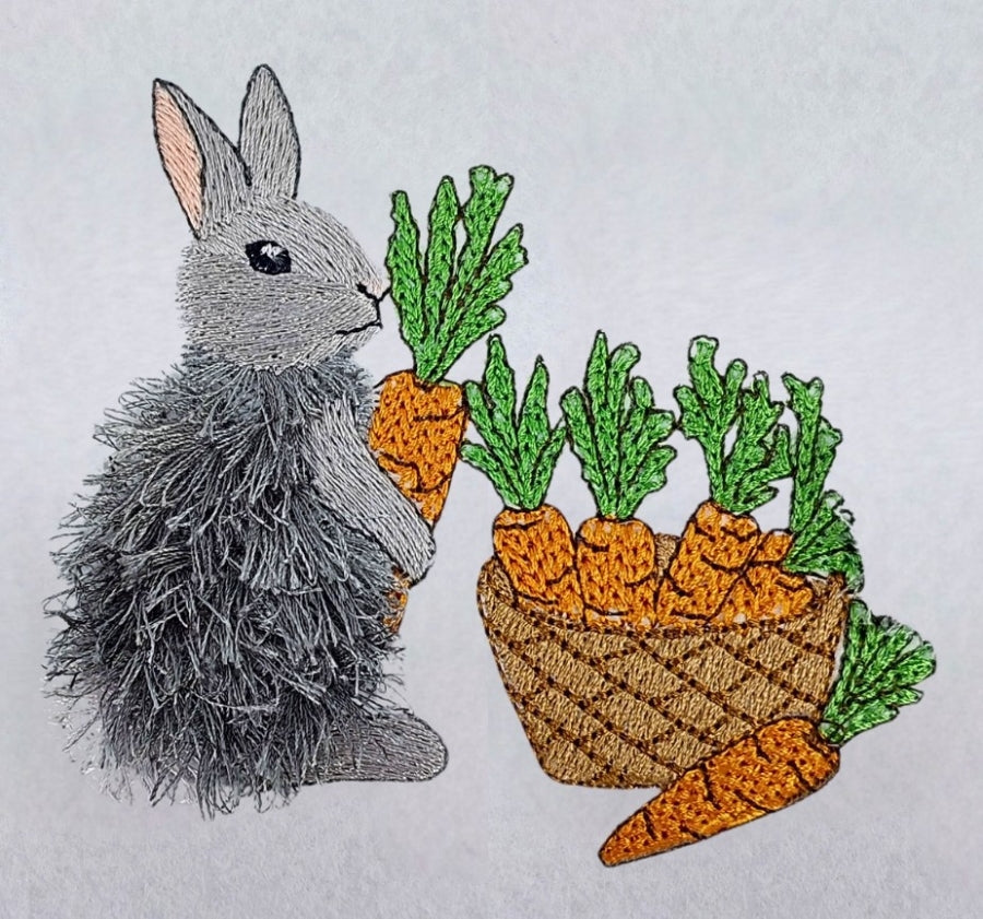 4 x 6 Bunny Fun
