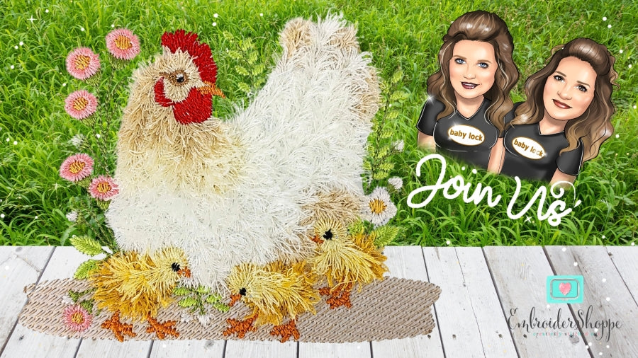4 x 6 Mother Hen
