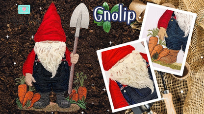 6 x 10 Gnolip