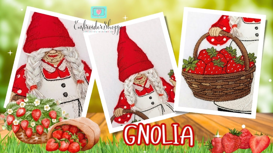 6 x 10 Gnolia
