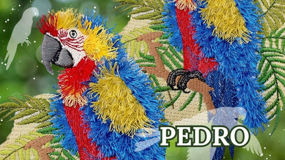 6 x 10 Pedro