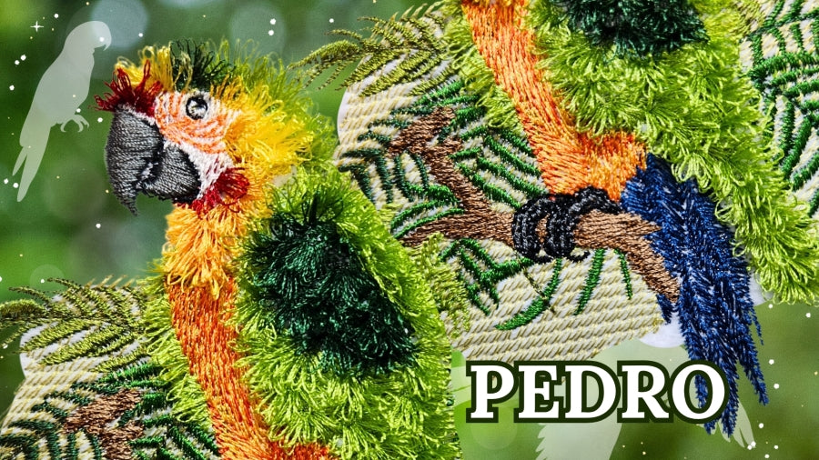 6 x 10 Pedro