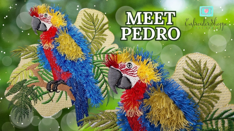 6 x 10 Pedro