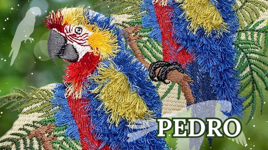 5 x 7 Pedro