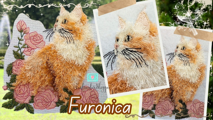6 x 10 Furonica