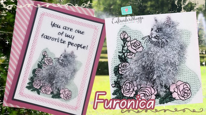 4 x 6 Furonica