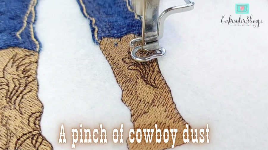 6 x 10 Cowboy Jesse