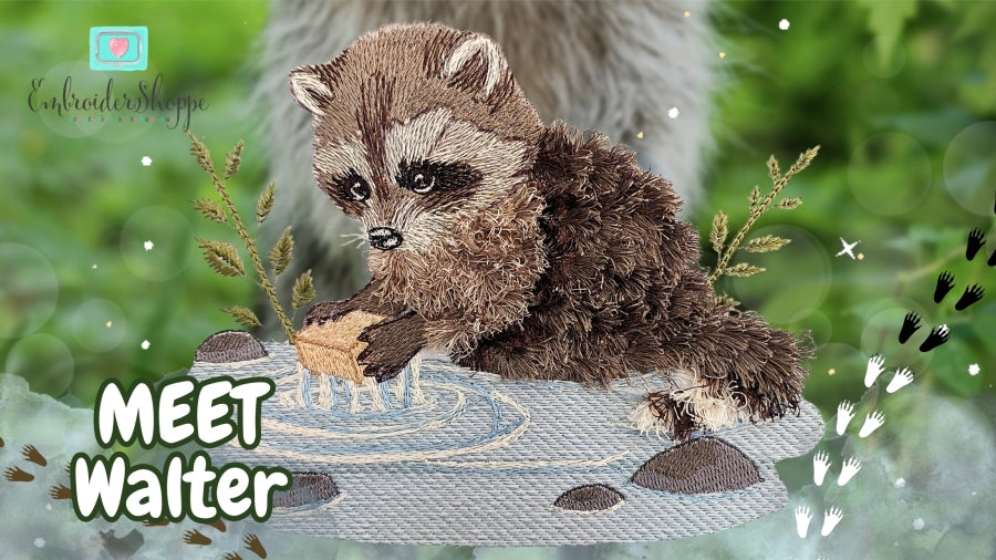 6 x 10 Walter Raccoon