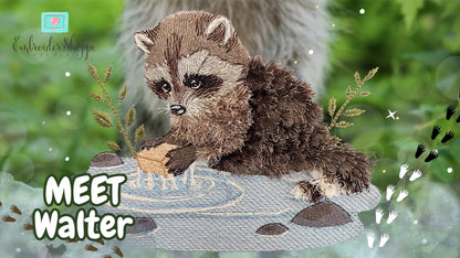 5 x 7 Walter Raccoon