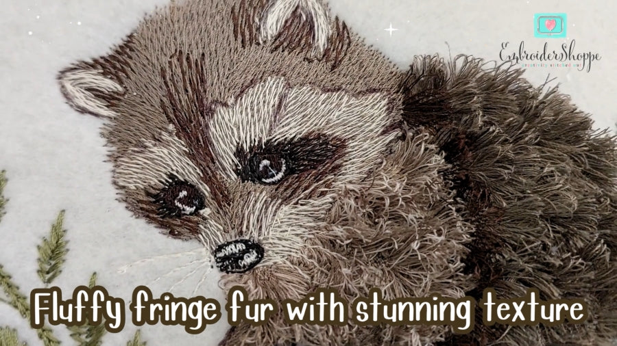 4 x 6 Walter Raccoon
