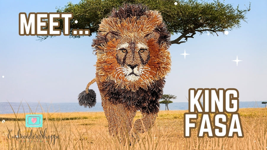6 x 10 King Fasa