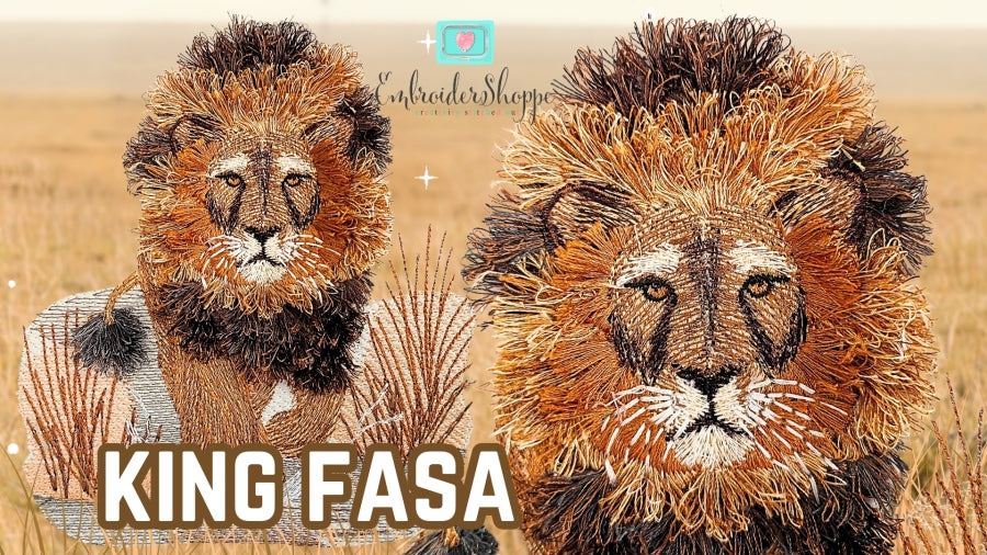 6 x 10 King Fasa