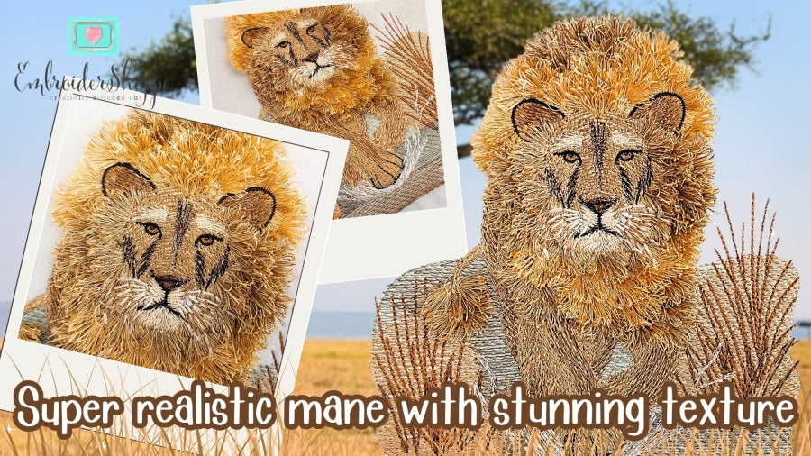 4 x 6 King Fasa