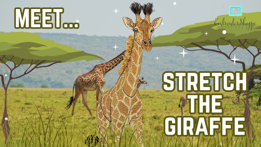 5 x 7 Stretch The Giraffe