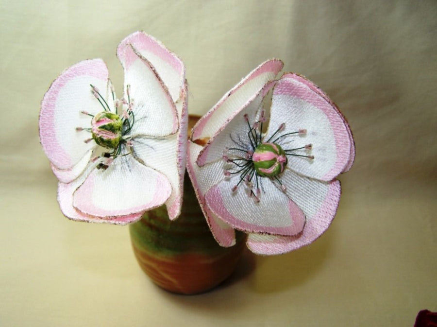 Pink Poppy
