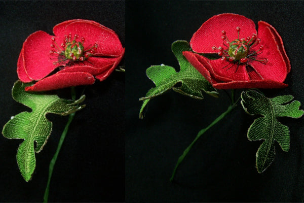 Red Poppy