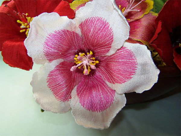 Pink Hibiscus