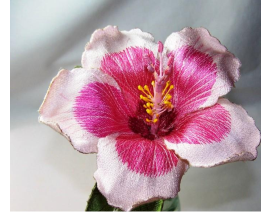 Pink Hibiscus