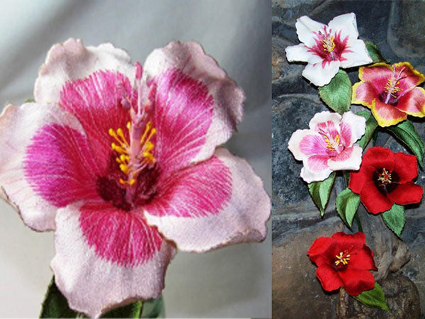 Pink Hibiscus