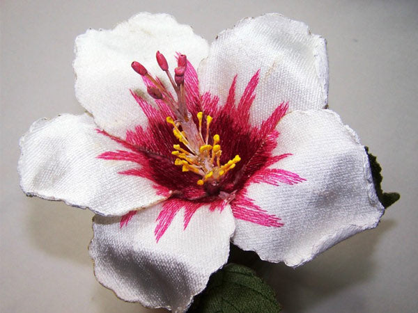 White Hibiscus