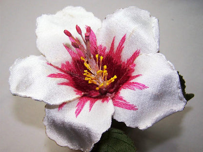 White Hibiscus